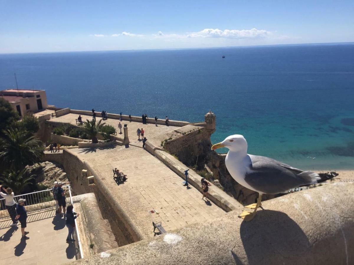 Apartamento Centrico Castillo S. Barbara Alicante Luaran gambar